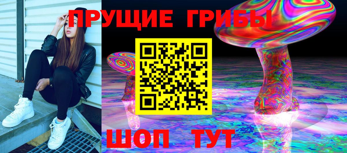 Галлюциногенные грибы мицелий  Вход с VPN  Галлюциногенные грибы Psilocybe  Владимир 