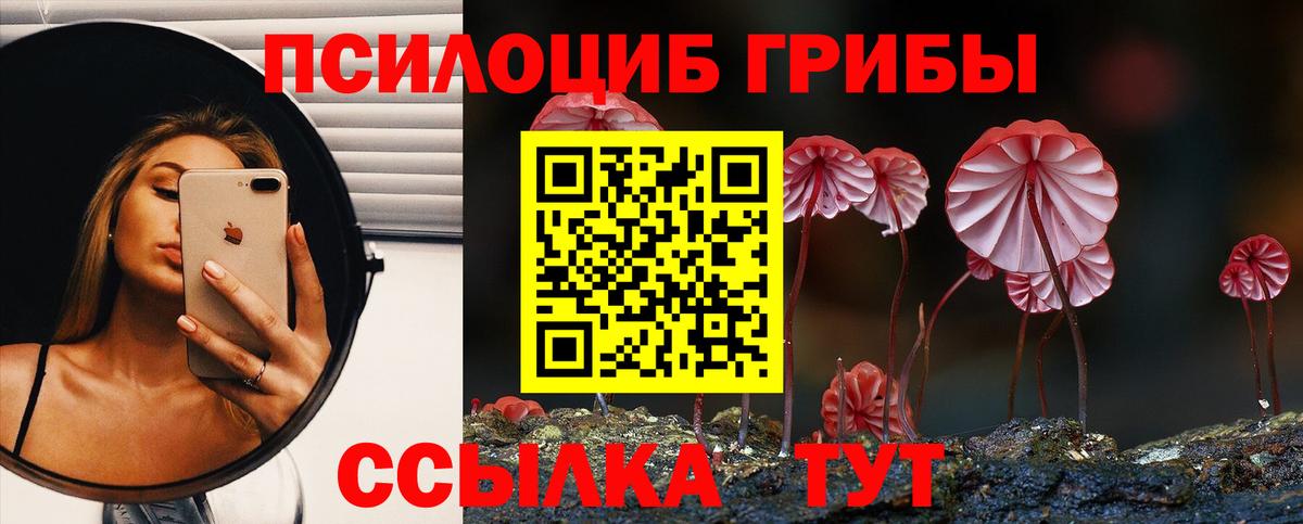 Галлюциногенные грибы MAGIC MUSHROOMS Владимир