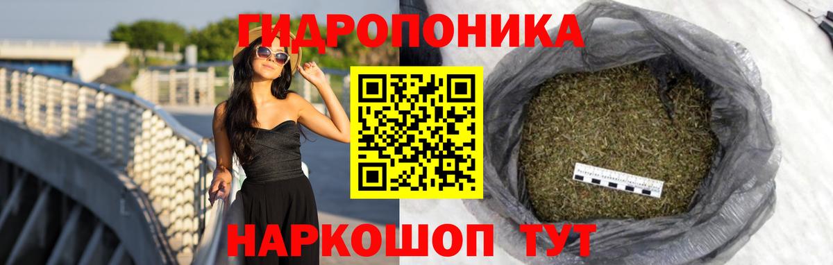 Шишки марихуана планчик  МАРИХУАНА сатива  Вход с VPN  МАРИХУАНА конопля  Марихуана White Widow  Владимир 